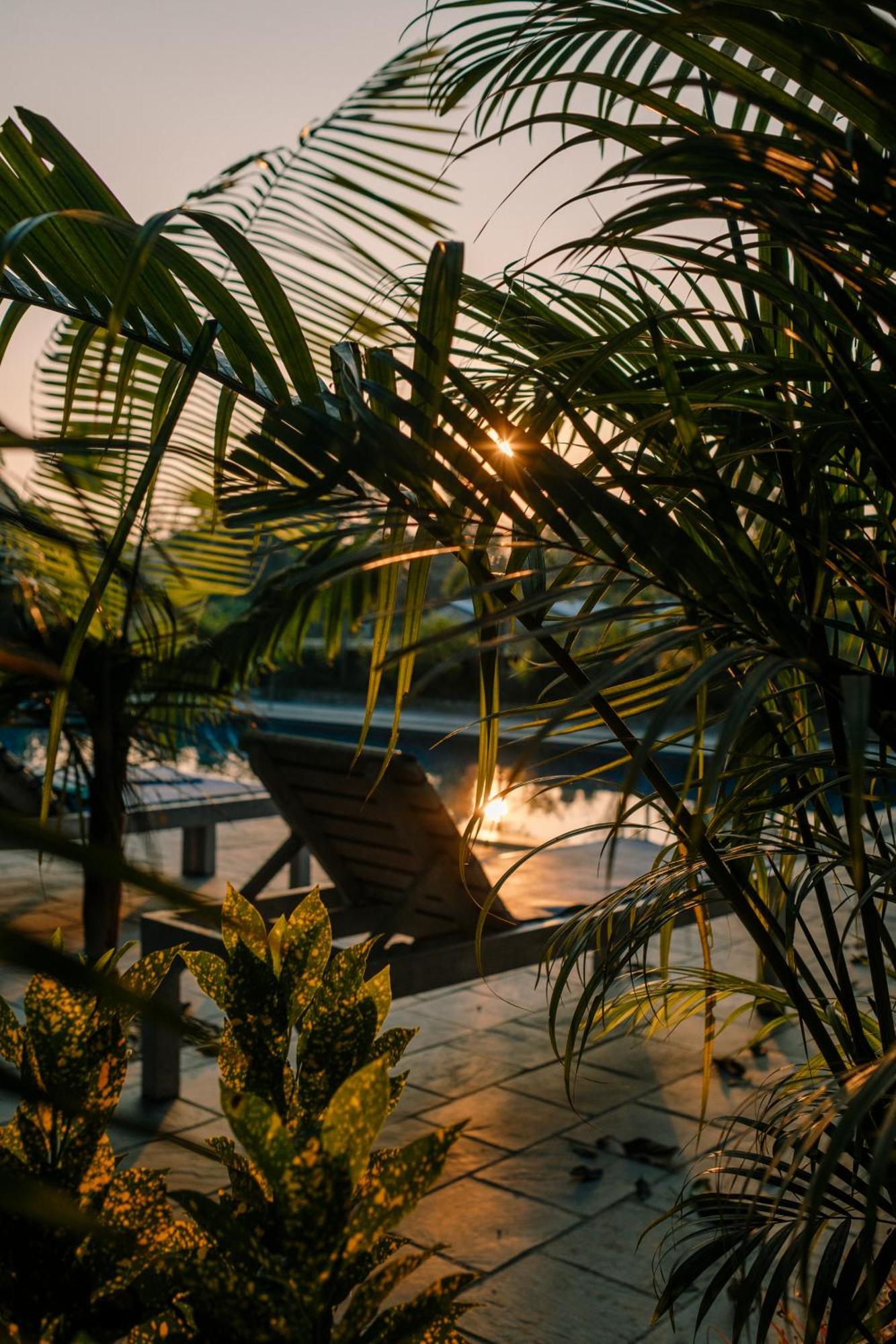 Hotel Parkside & Swimming Pool-Between Greenery And Azure ,Your Perfect Retreat Chitwan Zewnętrze zdjęcie